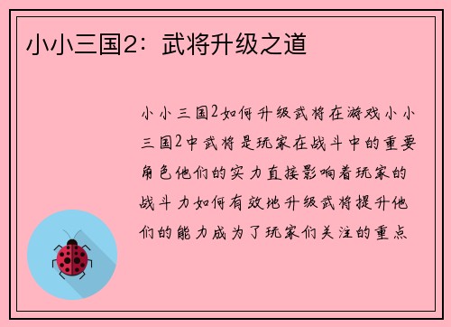 小小三国2：武将升级之道